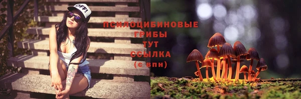 таблы Аркадак