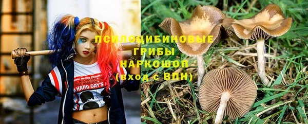 дмт Арсеньев