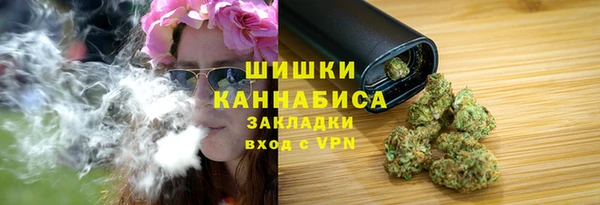 дмт Арсеньев
