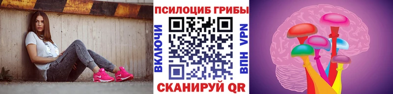 мега рабочий сайт  дарнет шоп  Таруса  Галлюциногенные грибы мицелий 